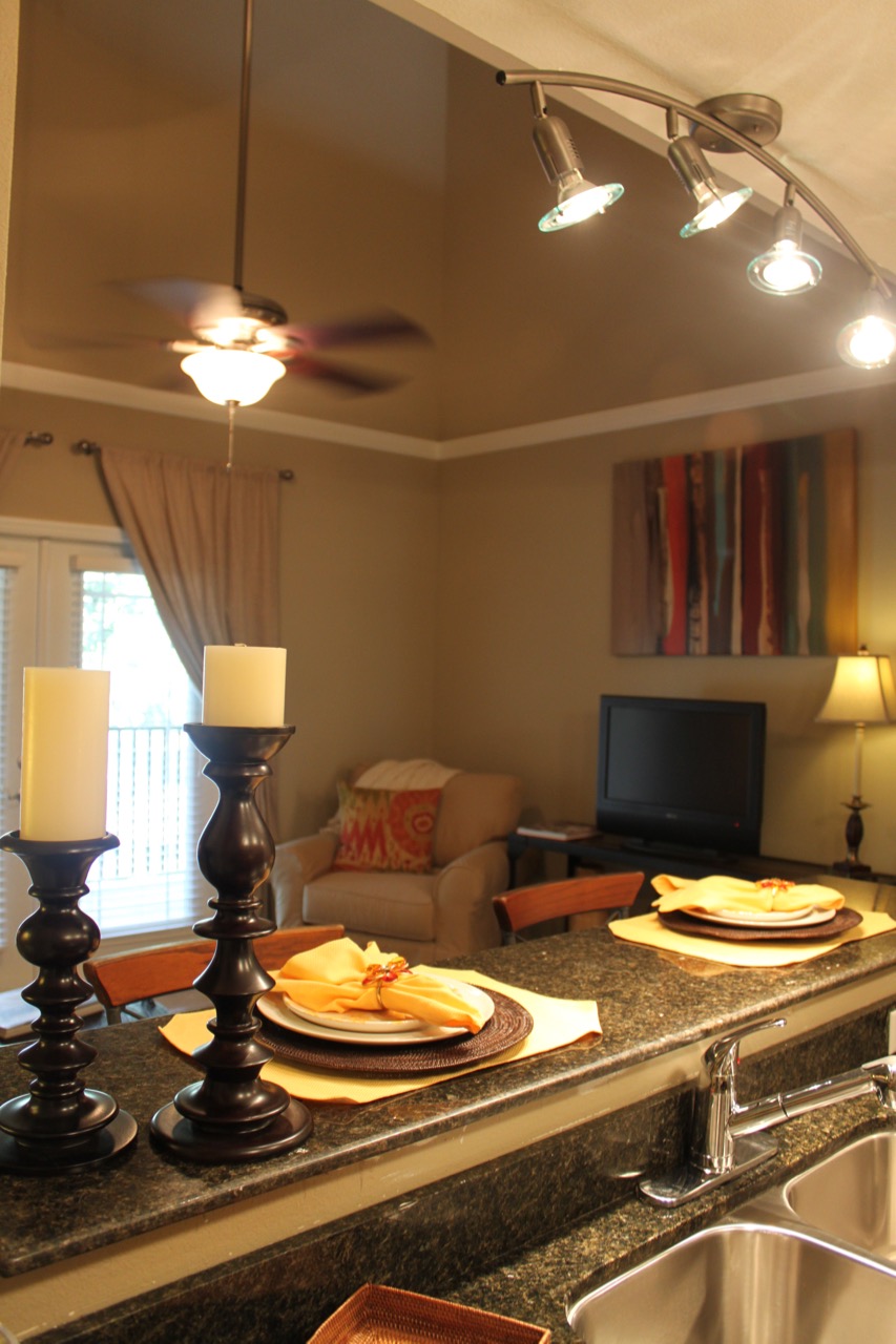 Gallery image 7